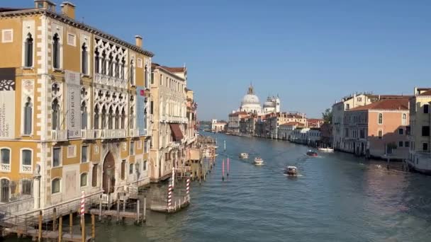 Vista Desde Puente Academia Catedral Santa Maria Della Salute Venecia — Vídeo de stock