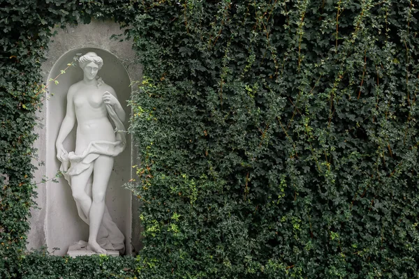 Bahçe heykeli. Parktaki yeşil bir duvarın arka planında güzel bir kadın heykeli. Açık hava olayları için arkaplan