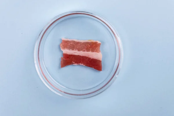 Baken Glas Petri Schotel Laboratoriumstudies Van Kunstmatig Vlees Afbeelding Van — Stockfoto