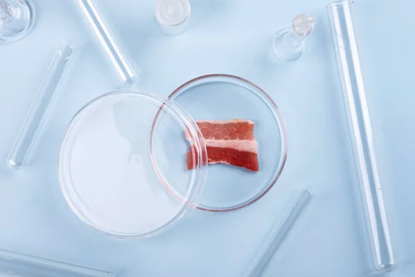 玻璃杯中的培根 人工肉类的实验室研究 化学品库存图像 免版税图库图片