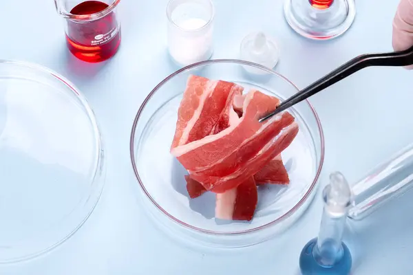 玻璃杯中的培根 人工肉类的实验室研究 化学品库存图像 图库照片