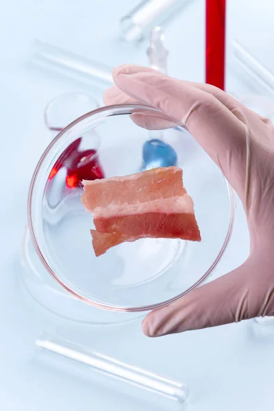 玻璃杯中的培根 人工肉类的实验室研究 化学品库存图像 图库图片