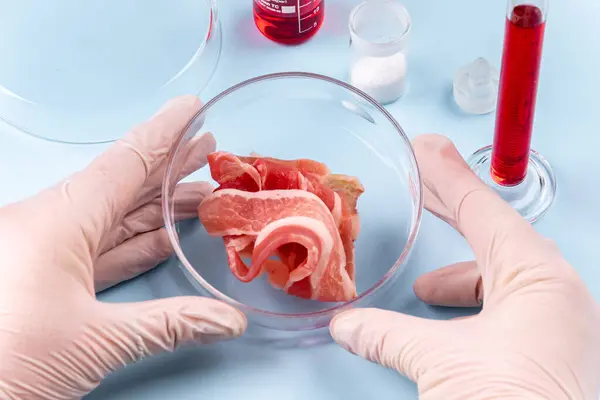 고기를 재배했습니다 페트리 접시에 베이컨 고기의 실험실 이미지 — 스톡 사진