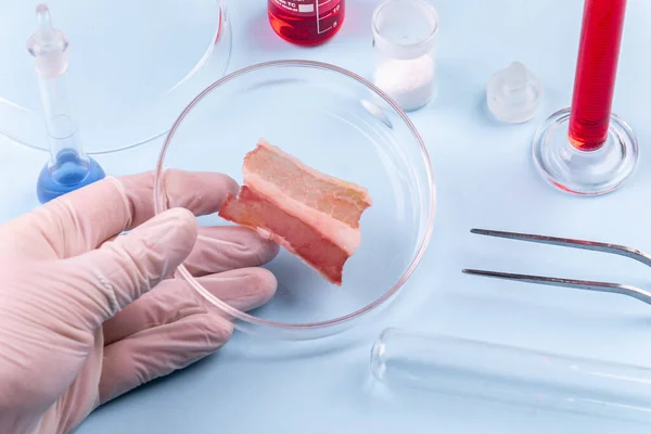 Carne Cultivada Tocino Plato Cristal Petri Laboratorio Estudios Carne Artificial —  Fotos de Stock