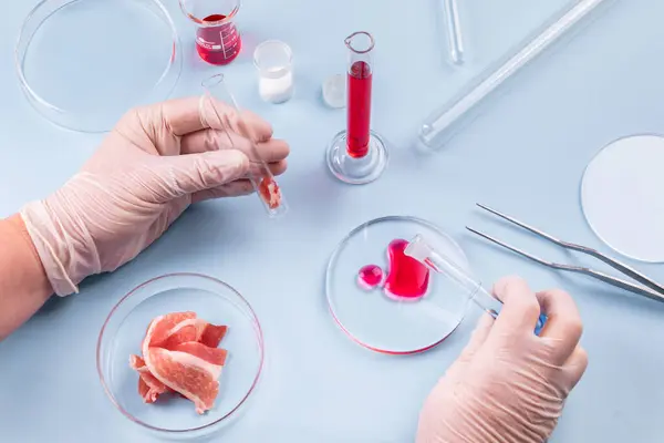 Cultured Meat Bacon Glass Petri Dish Laboratory Studies Artificial Meat — Stock Photo, Image