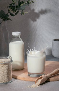 Susam tohumlarına dayalı alternatif vejetaryen sütü. Besleyici eko içecek.