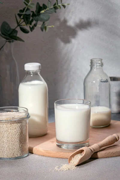Alternativ Vegansk Mjölk Baserad Sesamfrön Näringsrik Miljödryck — Stockfoto