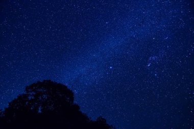 Güzel Samanyolu gökyüzünde tropikal ormanlarda Taylan 'ın kuzeyindeki dağın tepesinde