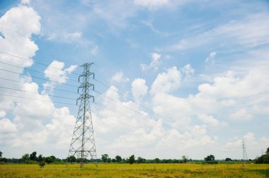 Mavi bulutlu gökyüzü ile pirinç tarlasında elektrik direği 