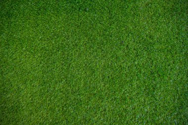 Yapay ot. Yeşil alan arkaplanı. Bak, yeni dekore edilmiş duvar kağıdı. 