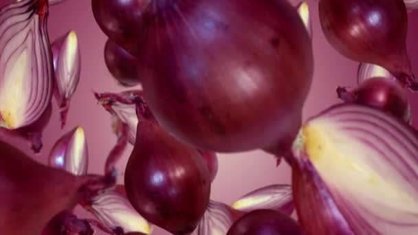 スライスされた赤い玉ねぎの球根は紫色の背景に落ちます シームレスループスローモーションビデオ — ストック動画