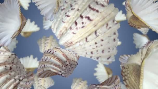 Многие Морские Раковины Падают Фиолетовый Фон Бесшовный Цикл Замедленной Съемки — стоковое видео