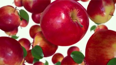 Beyaz arka plana düşen kırmızı sulu elmalar. Kusursuz yavaş çekim 4k video döngüsü