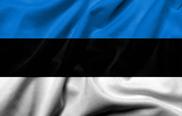 Realistic Flag Estonia Satin Fabric Texture — стокове фото