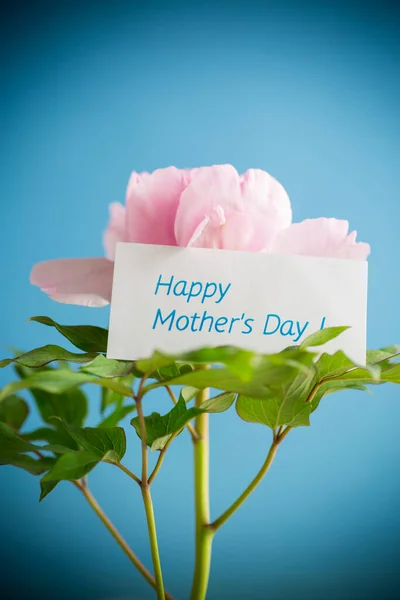 Гарний Великий Рожевий Камінь Привітаннями День Матері Ізольований Синьому Фоні Ліцензійні Стокові Зображення