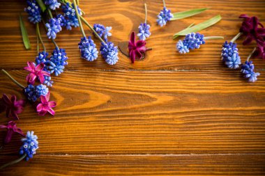 Bahar çiçekleriyle ahşap arkaplan ve metin için boş alan.