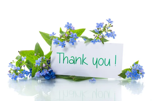 Kleine Blaue Vergissmeinnicht Blumen Isoliert Auf Weißem Hintergrund — Stockfoto