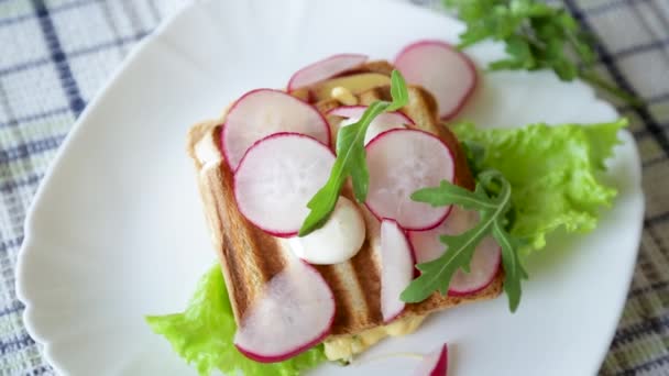 Sandwich Chaud Pain Grillé Farci Fromage Herbes Radis Dans Bol — Video