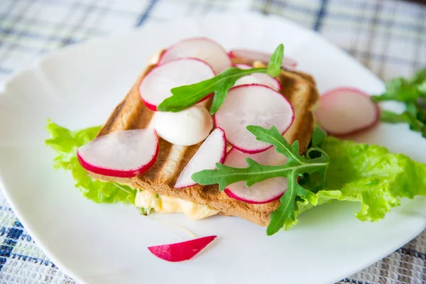 Hot Sandwich Fried Toast Stuffed Cheese Herbs Radishes Bowl Table — Stock Photo, Image