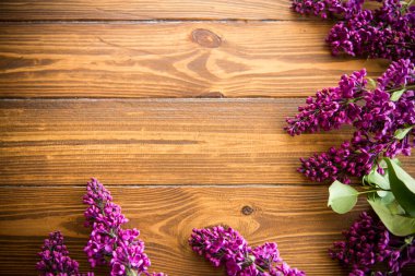 Çiçek açan güzel leylak dalları olan ahşap arkaplan, metin için boş alan.