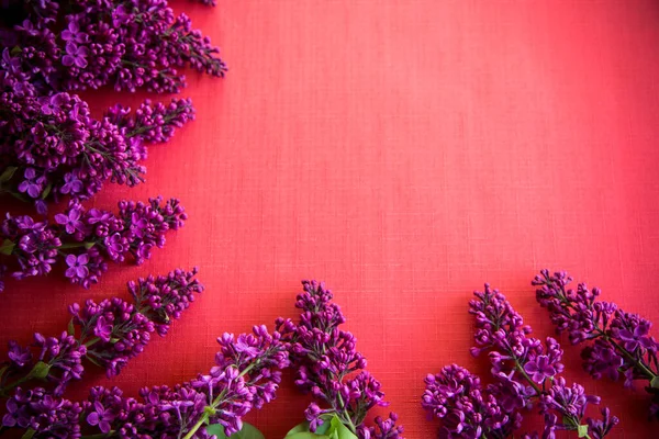 Fondo Rojo Con Ramas Flor Hermosa Lila Espacio Vacío Para —  Fotos de Stock