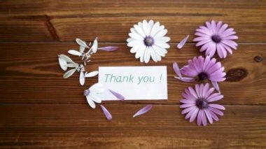 Güzel beyaz ve mor Osteospermum çiçekleri ahşap bir arka planda