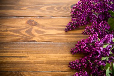 Çiçek açan güzel leylak dalları olan ahşap arkaplan, metin için boş alan.