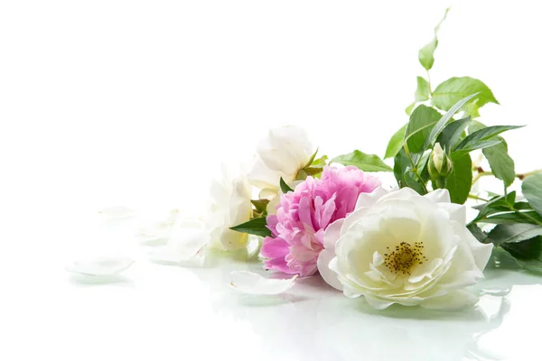Buquê Rosas Brancas Verão Peônias Isolado Sobre Fundo Branco — Fotografia de Stock