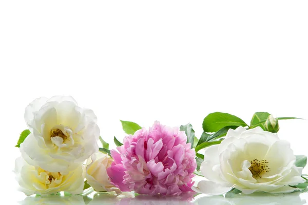 花束夏天白色的玫瑰和牡丹 孤立在白色的背景 — 图库照片