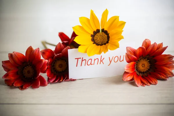Gyönyörű Piros Sárga Gazania Virágok Köszönőkártyával Egy Asztalon — Stock Fotó