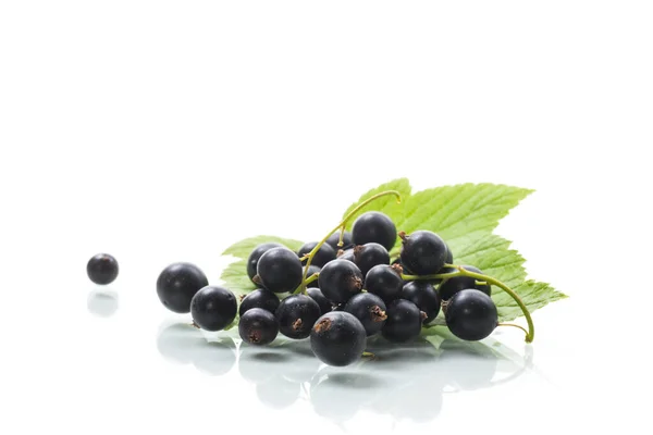 Ripe Blackcurrant Berries Leaves Isolated White Background — Stock Photo, Image