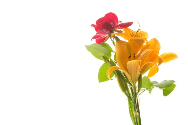 Strauß Schöner Gelber Lilien Isoliert Auf Weißem Hintergrund — Stockfoto