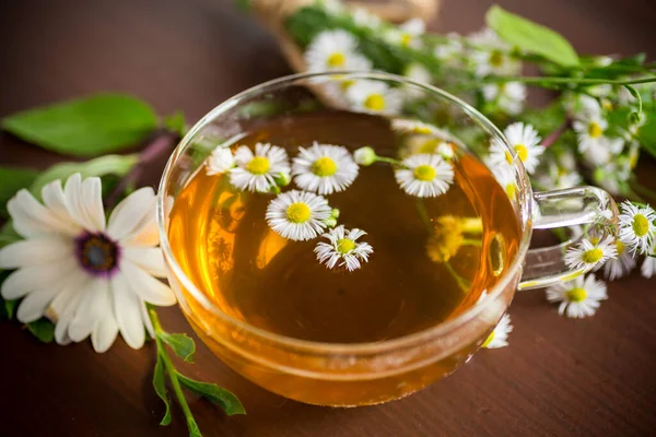 Herbata Kwiatów Rumianku Szklanej Filiżance Czajniczek Ciemnym Drewnianym Stole — Zdjęcie stockowe