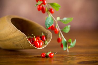 Kahverengi ahşap bir masada olgun kırmızı goji üzümlü dal.