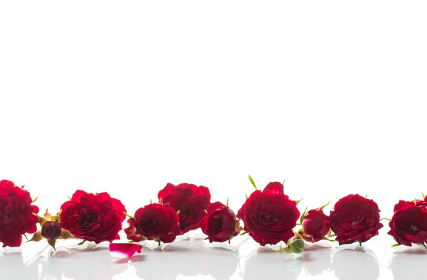 Buquê Rosas Vermelhas Pequenas Isolado Fundo Branco Imagens De Bancos De Imagens Sem Royalties