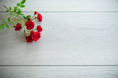 Hafif ahşap zemin üzerinde kırmızı küçük güller buketi.