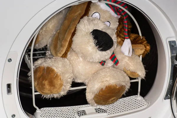 children\'s soft toy in the dryer basket after washing, home life.