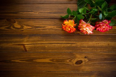 Koyu bir tahta masanın üzerinde açan güzel kırmızı gül.