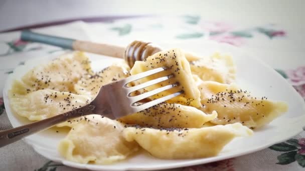 軽いテーブルの皿にコテージチーズ ポピーの種子および蜂蜜が付いている甘い調理された餃子 — ストック動画