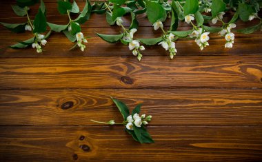 Beyaz yasemin çiçekleriyle ahşap kaplama arka plan .