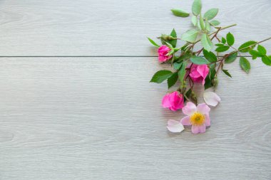 parlak pembe güllerle açık ahşap arkaplan .