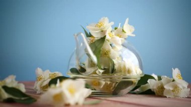 Yasemin çiçeği cam bir çaydanlıkta .