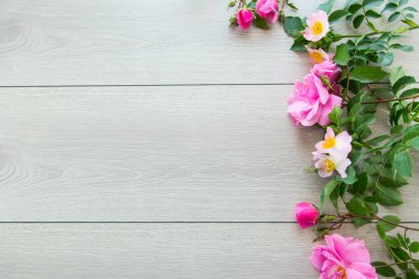 parlak pembe güllerle açık ahşap arkaplan .