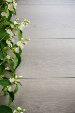 Beyaz yasemin çiçekleriyle ahşap arkaplan .