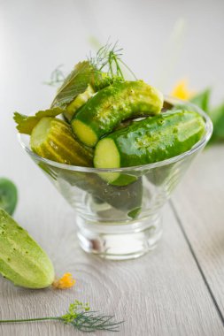 Ev yapımı yemekler, hafif tuzlu salatalıklar ve baharatlar. .