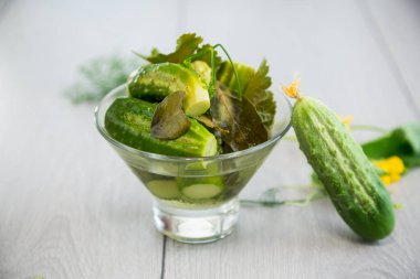 Ev yapımı yemekler, hafif tuzlu salatalıklar ve baharatlar. .