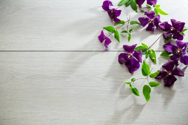 stock image branch of blooming purple clematis, on a light wooden table .