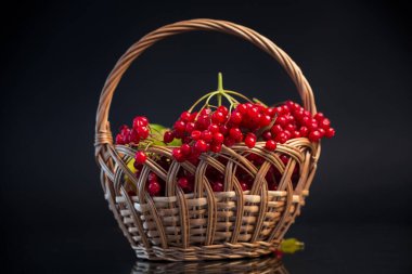 Siyah arka planda izole edilmiş sepetteki kırmızı viburum. .