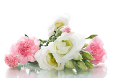 Dekorasyon için zarif bir çiçek düzenleme, beyaz arka planda izole edilmiş. .