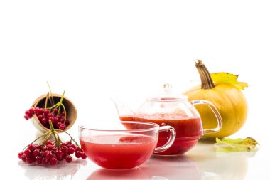 Beyaz arkaplanda olgun kırmızı viburnum çayı izole edildi .